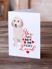 Doodle Cream #3 so Loved Greeting Cards Pack of 8 Blank Cards with Envelopes Whimsical A7 Size 5x7 Blank Note Cards
